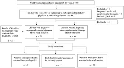 Neurodevelopmental disorders in children seeking obesity treatment- associations with intellectual ability and psychiatric conditions